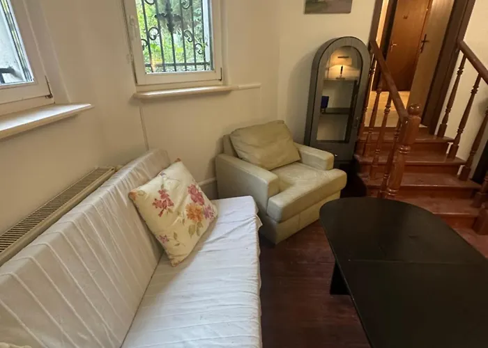 Center Park 소포트